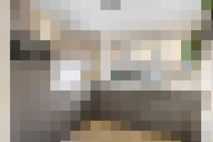 Catsstraat 11 Bergschenhoek thumbnail 16