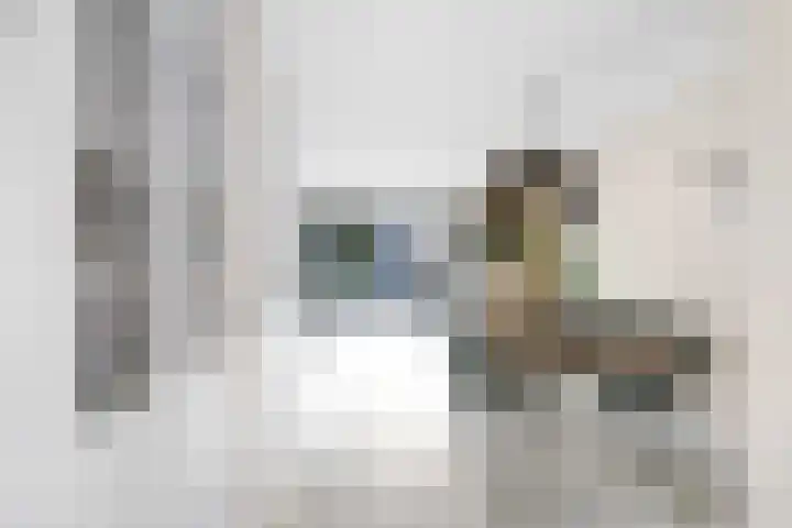 Catsstraat 11 Bergschenhoek thumbnail 19