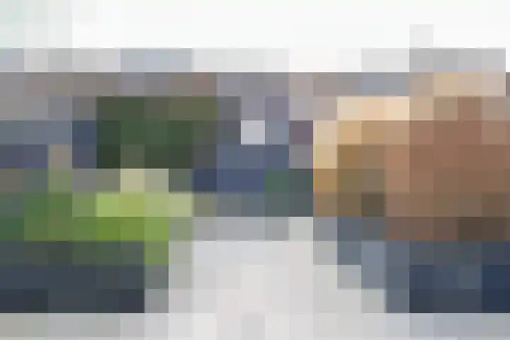 Catsstraat 11 Bergschenhoek thumbnail 9