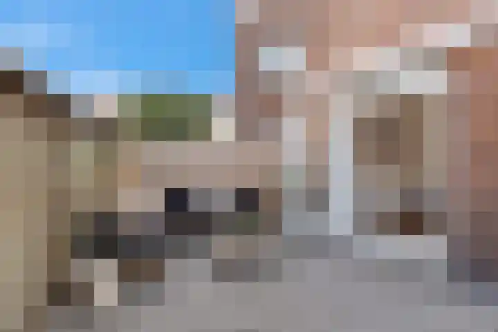 Catsstraat 15 Vlaardingen thumbnail 16