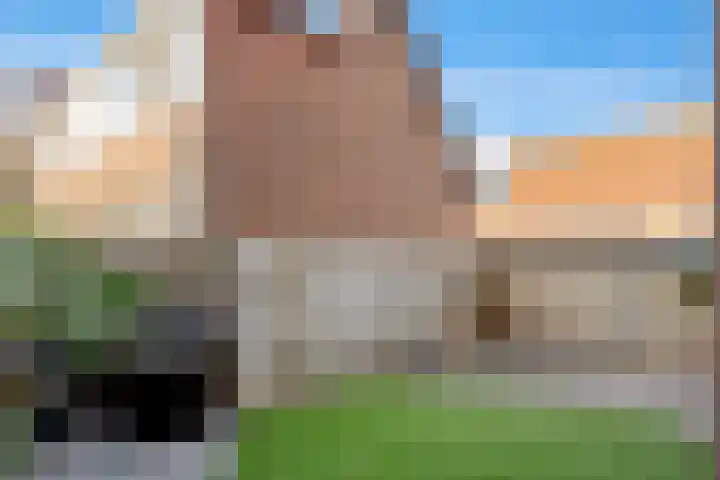 Catsstraat 15 Vlaardingen thumbnail 20