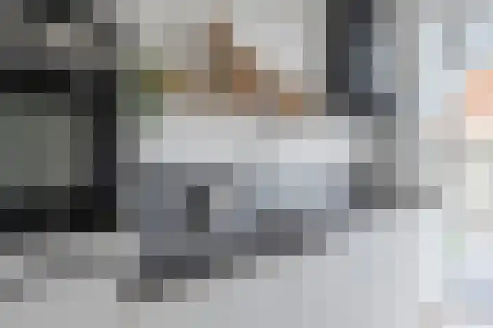 Catsstraat 15 Vlaardingen thumbnail 26