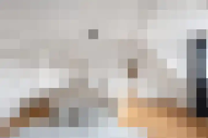 Catsstraat 15 Vlaardingen thumbnail 38