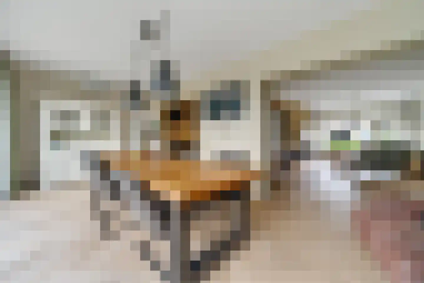 Catsstraat 3 Goor thumbnail 10