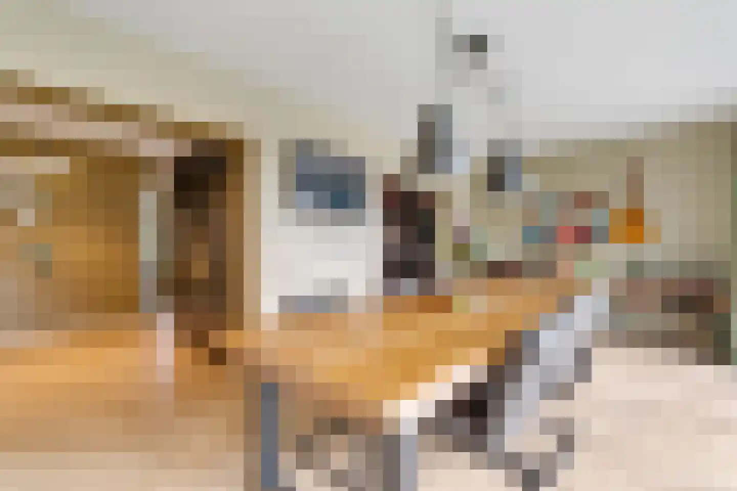 Catsstraat 3 Goor thumbnail 11