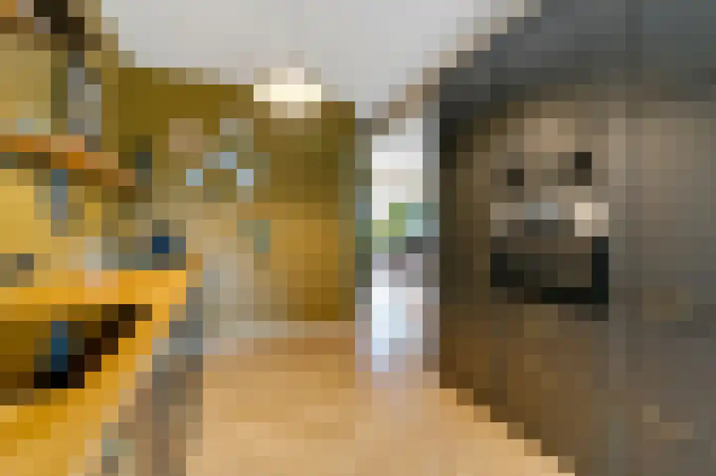Catsstraat 3 Goor thumbnail 12