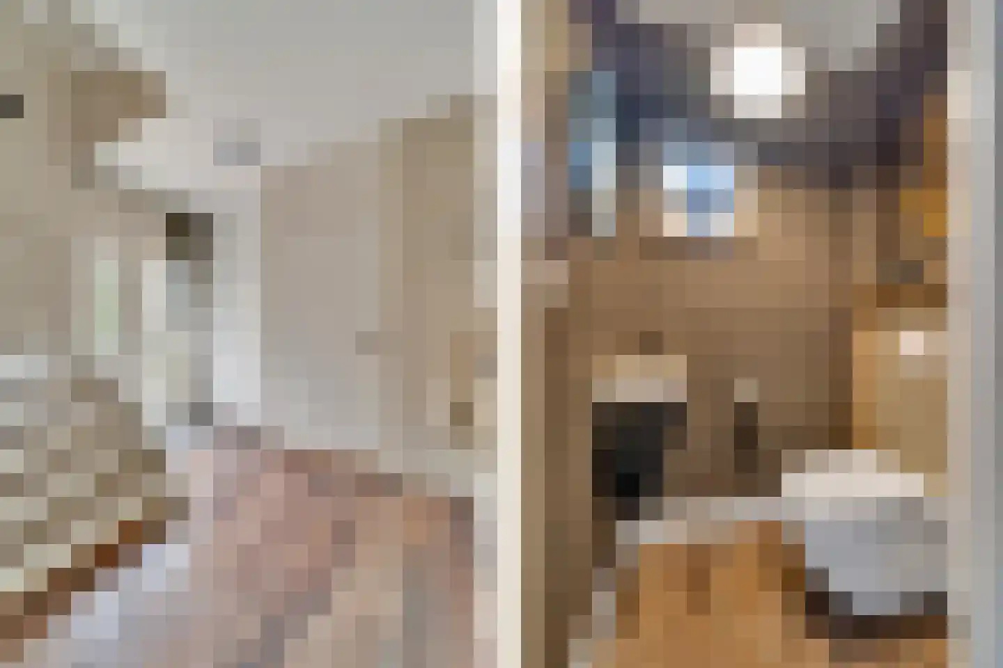 Catsstraat 3 Goor thumbnail 13