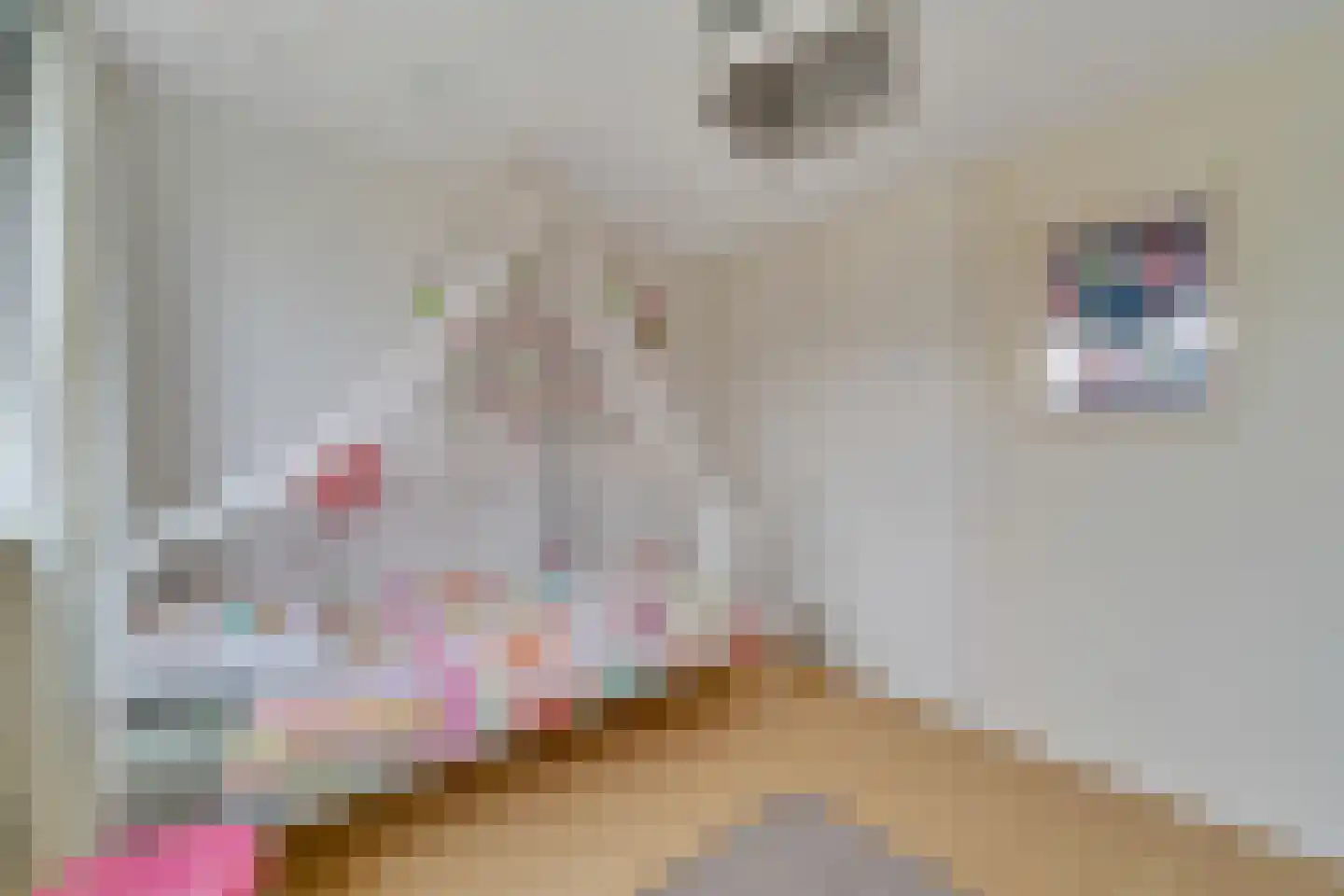 Catsstraat 3 Goor thumbnail 17
