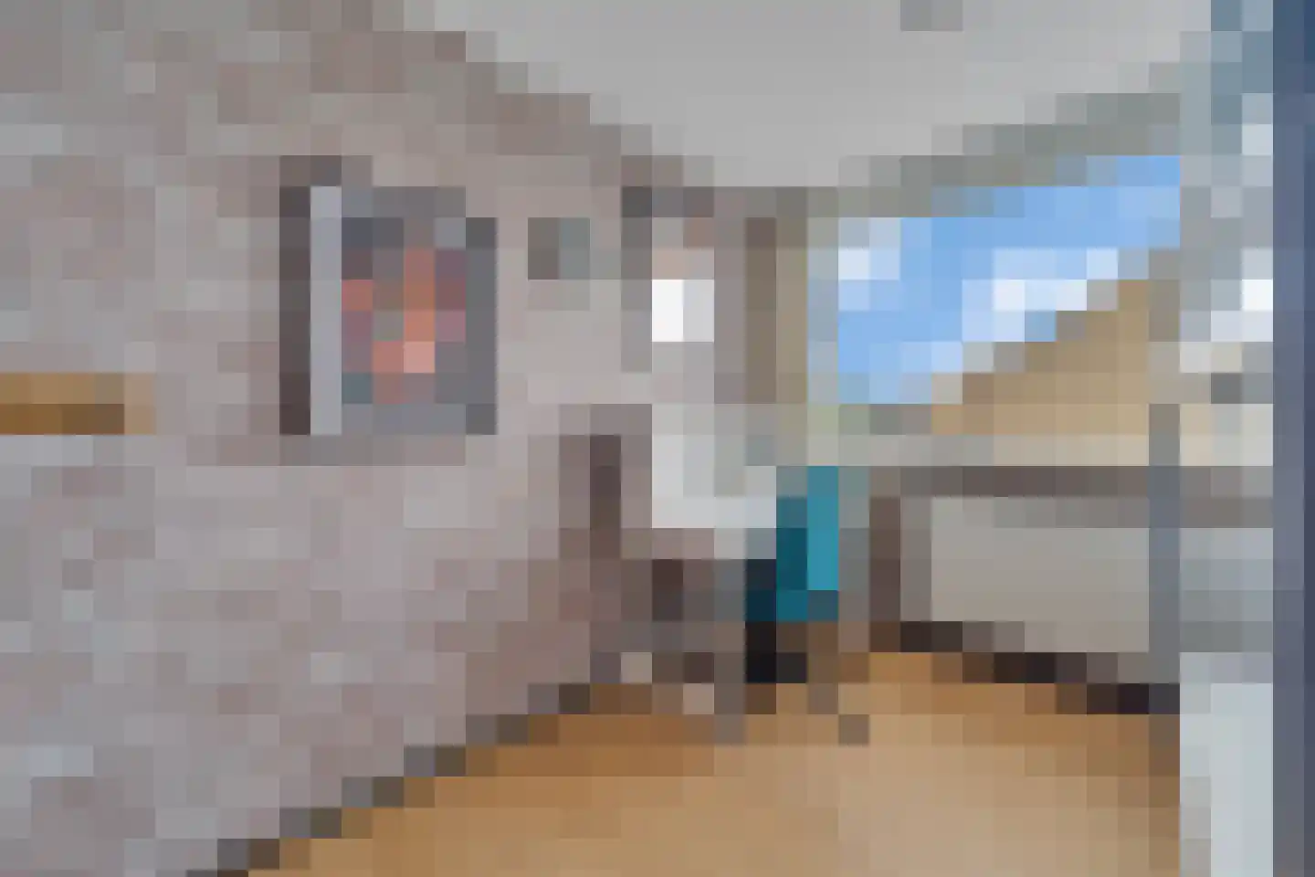Catsstraat 3 Goor thumbnail 19
