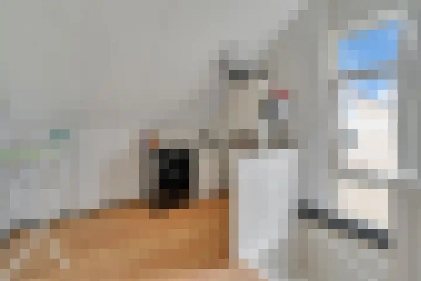 Catsstraat 3 Goor thumbnail 26