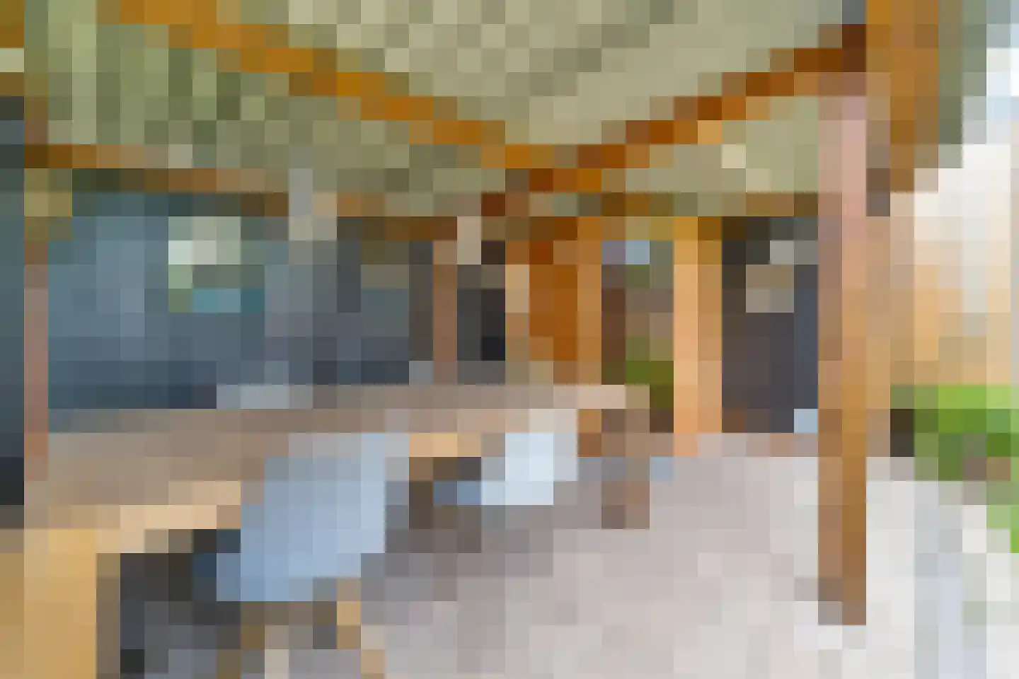 Catsstraat 3 Goor thumbnail 30