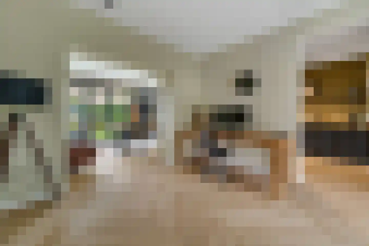 Catsstraat 3 Goor thumbnail 7