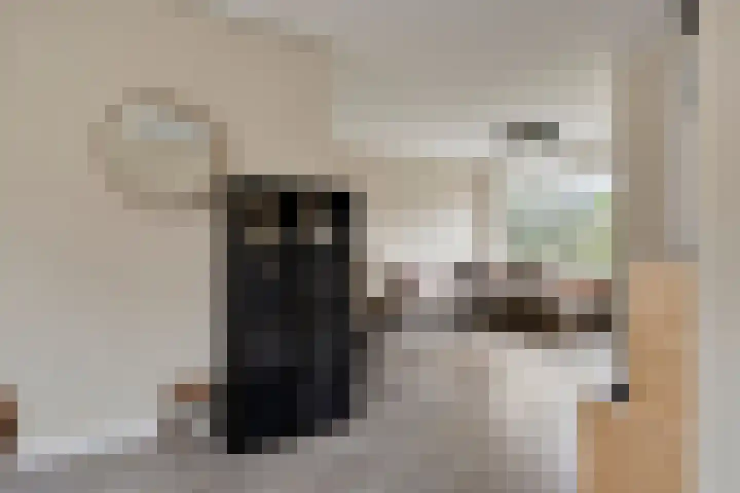Catsstraat 34 Goor thumbnail 16