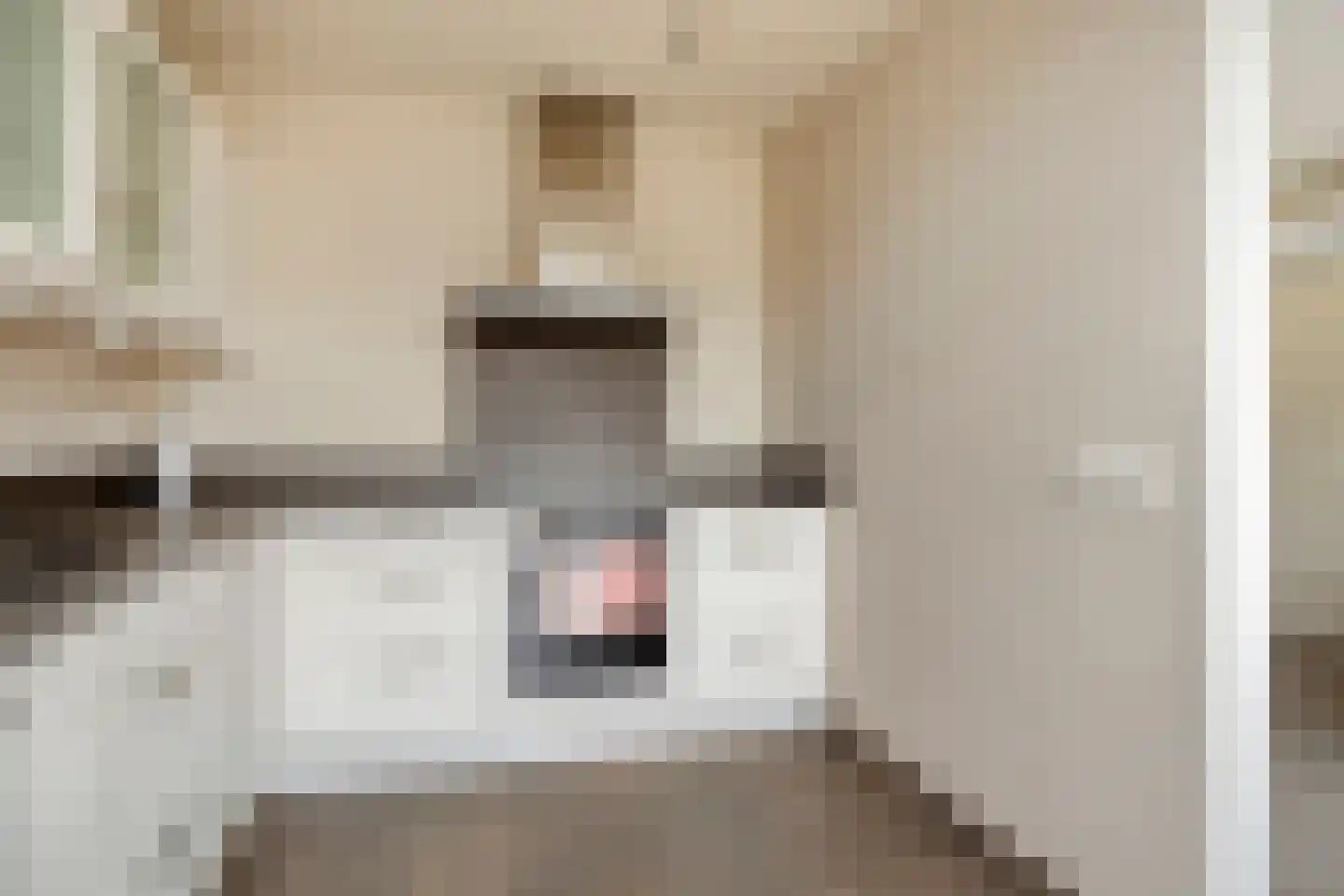 Catsstraat 34 Goor thumbnail 19