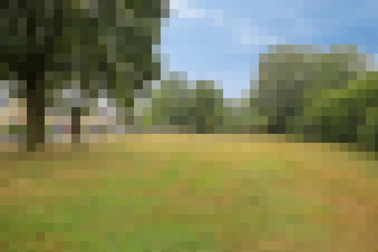 Catsstraat 34 Goor thumbnail 36