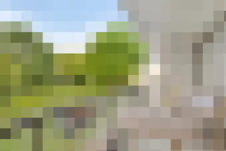 Catsstraat 42 Alkmaar thumbnail 10
