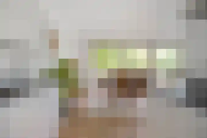 Catsstraat 42 Alkmaar thumbnail 11