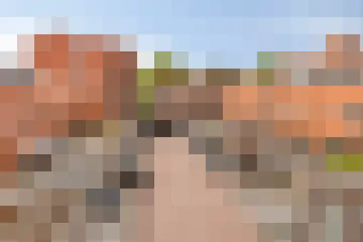 Catsstraat 42 Alkmaar thumbnail 30