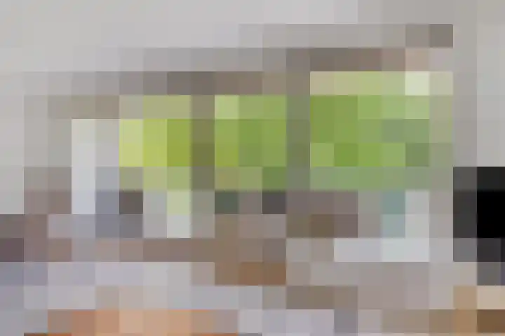 Catsstraat 42 Alkmaar thumbnail 4