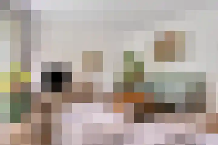 Catsstraat 42 Alkmaar thumbnail 7