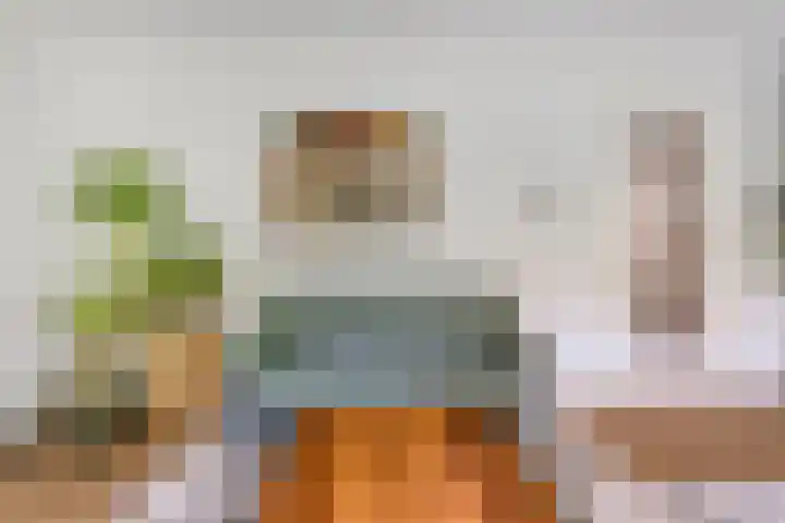 Catsstraat 42 Alkmaar thumbnail 8