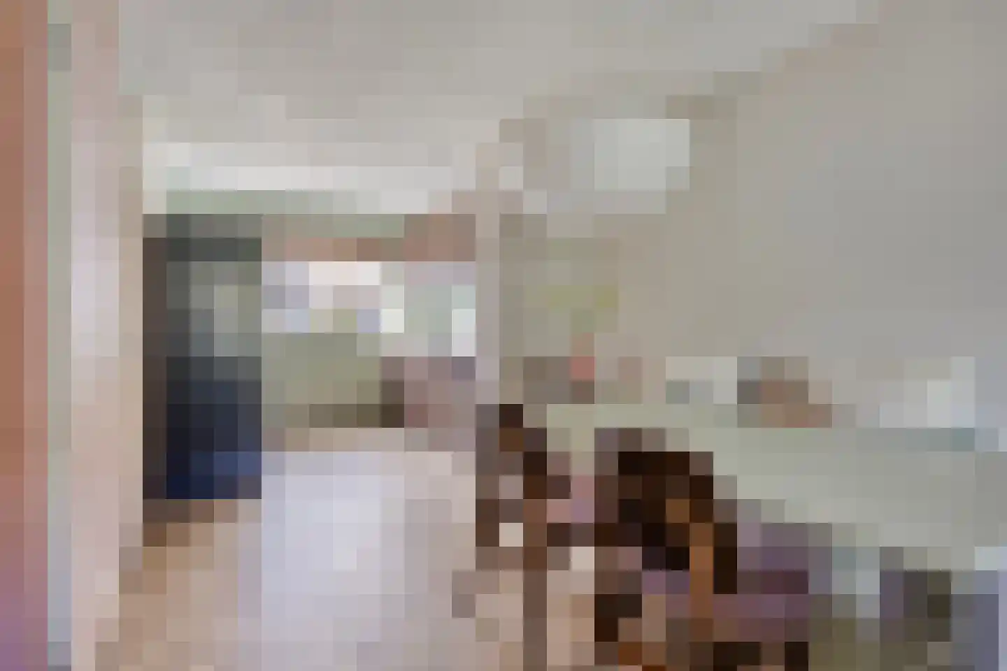 Catsstraat 43 Bergschenhoek thumbnail 16