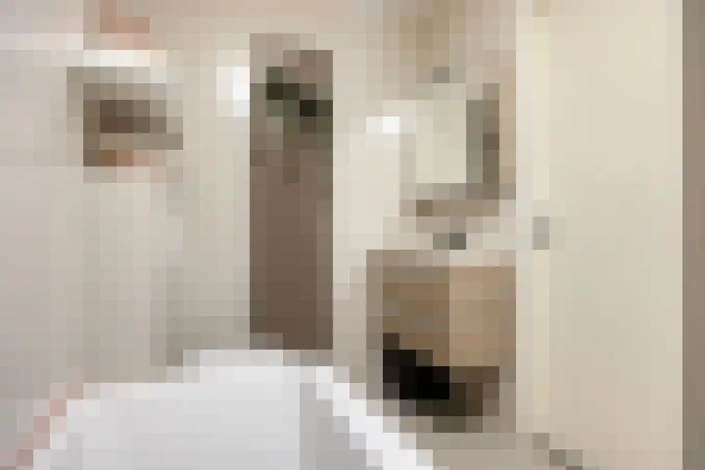 Catsstraat 43 Bergschenhoek thumbnail 31