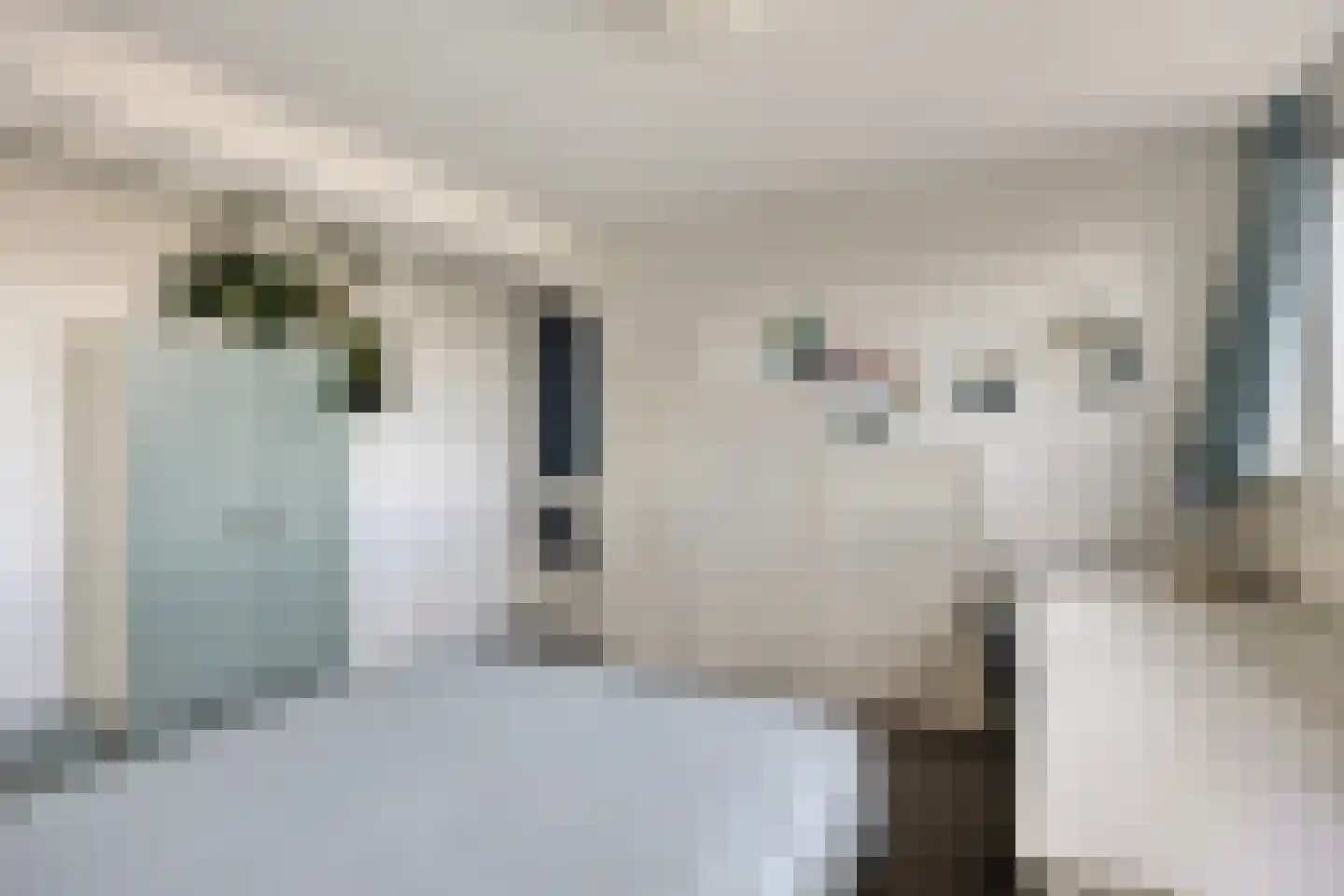 Catsstraat 43 Bergschenhoek thumbnail 44