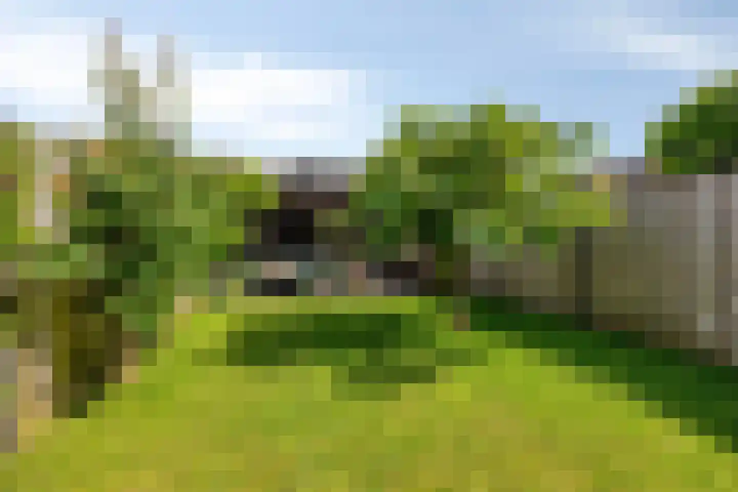Catsstraat 43 Bergschenhoek thumbnail 46