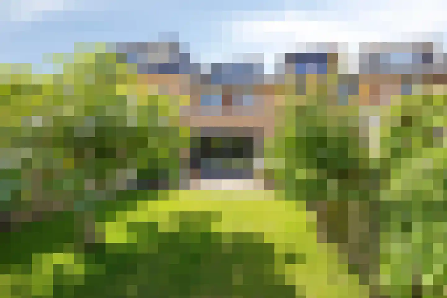 Catsstraat 43 Bergschenhoek thumbnail 48