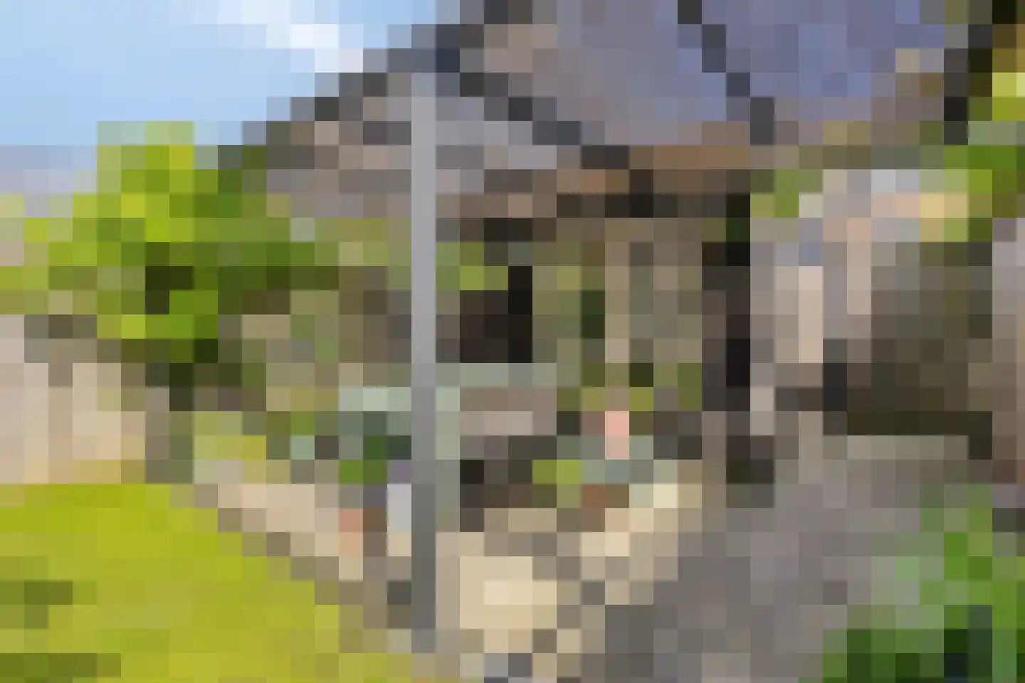 Catsstraat 43 Bergschenhoek thumbnail 49