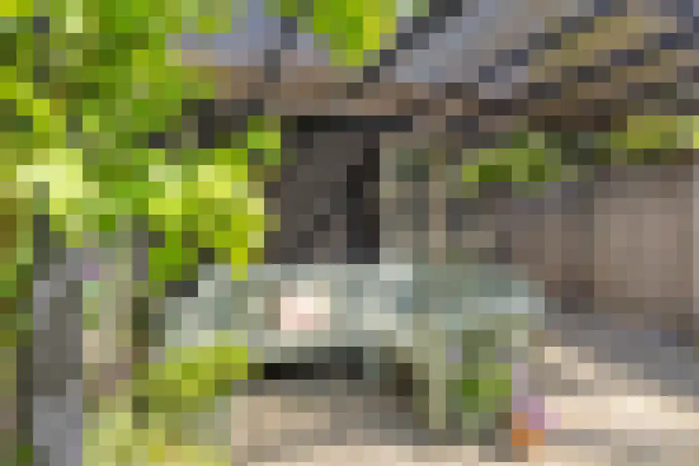 Catsstraat 43 Bergschenhoek thumbnail 51