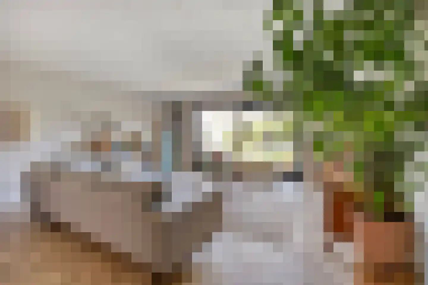 Catsstraat 43 Bergschenhoek thumbnail 8