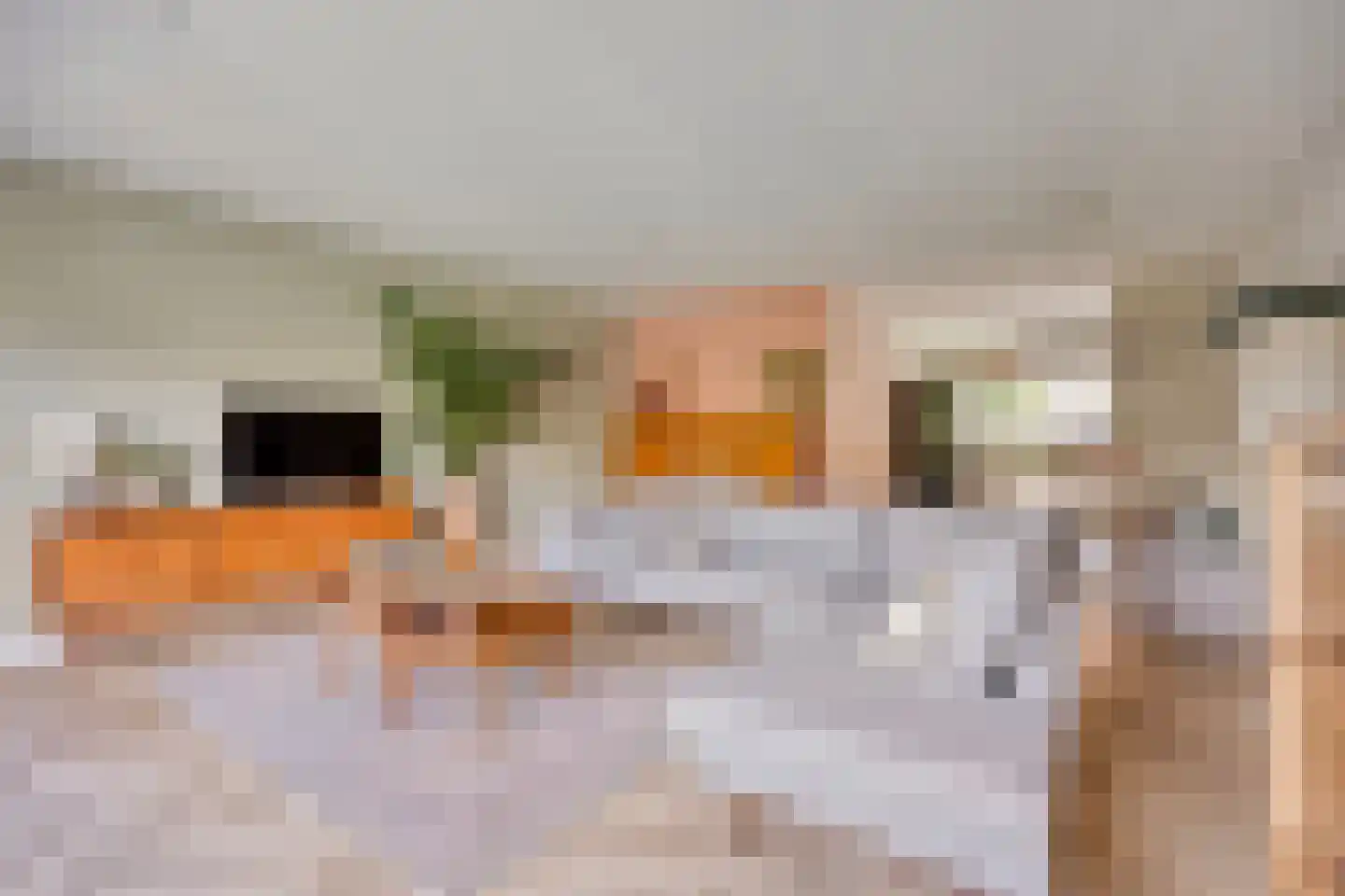 Catsstraat 43 Bergschenhoek thumbnail 9
