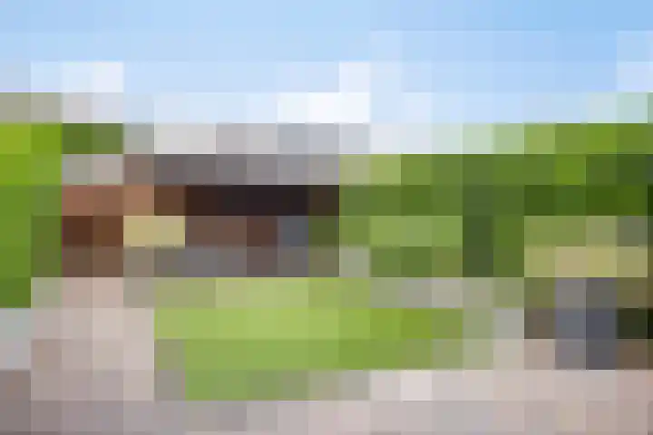 Catsstraat 46 Bergschenhoek thumbnail 13