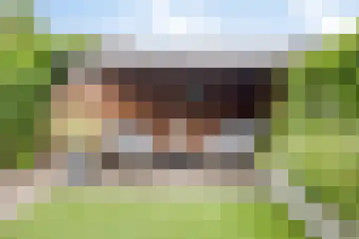 Catsstraat 46 Bergschenhoek thumbnail 14