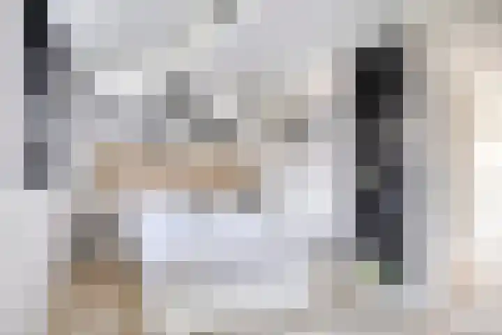 Catsstraat 46 Bergschenhoek thumbnail 17