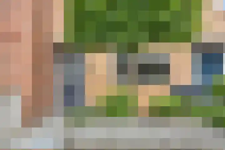 Catsstraat 46 Bergschenhoek thumbnail 4