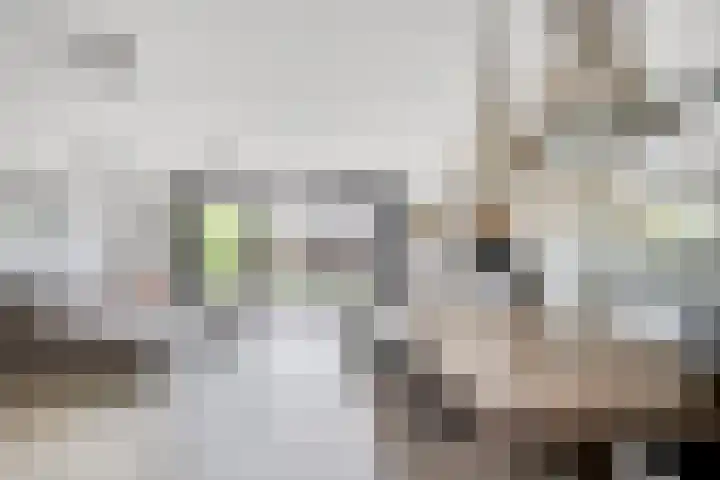 Catsstraat 46 Bergschenhoek thumbnail 6