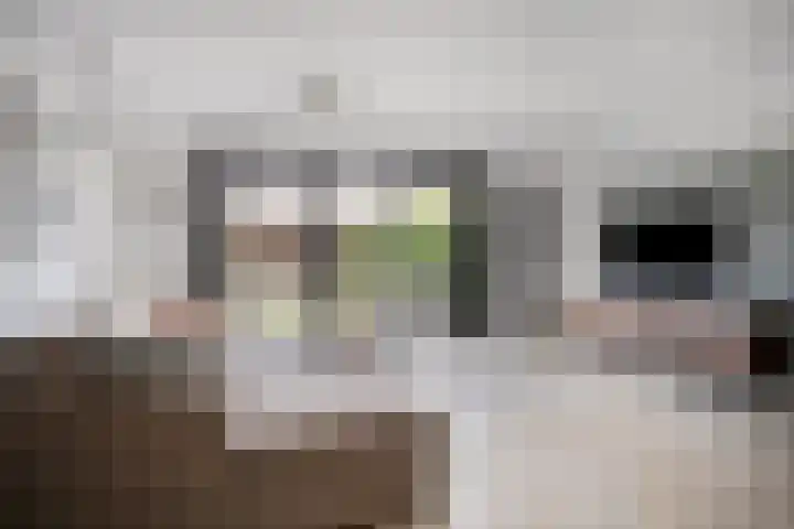 Catsstraat 46 Bergschenhoek thumbnail 7