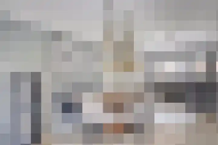 Catsstraat 46 Bergschenhoek thumbnail 8