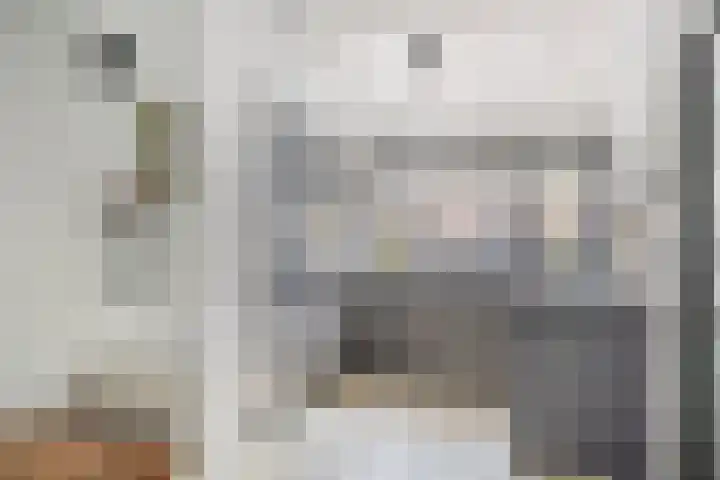 Catsstraat 46 Bergschenhoek thumbnail 9