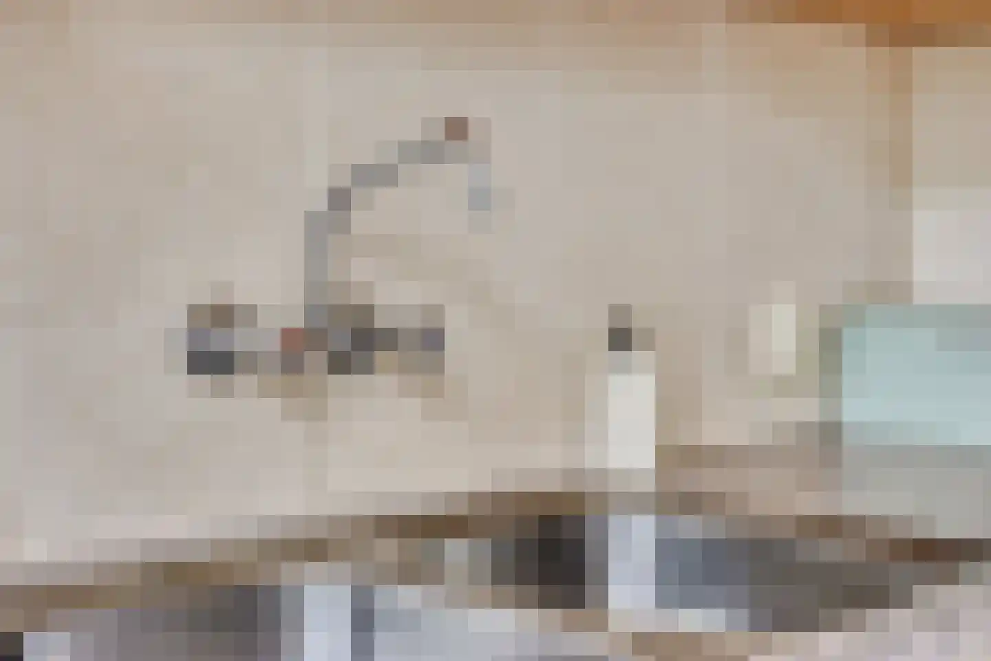 Catsstraat 48 Goor thumbnail 13