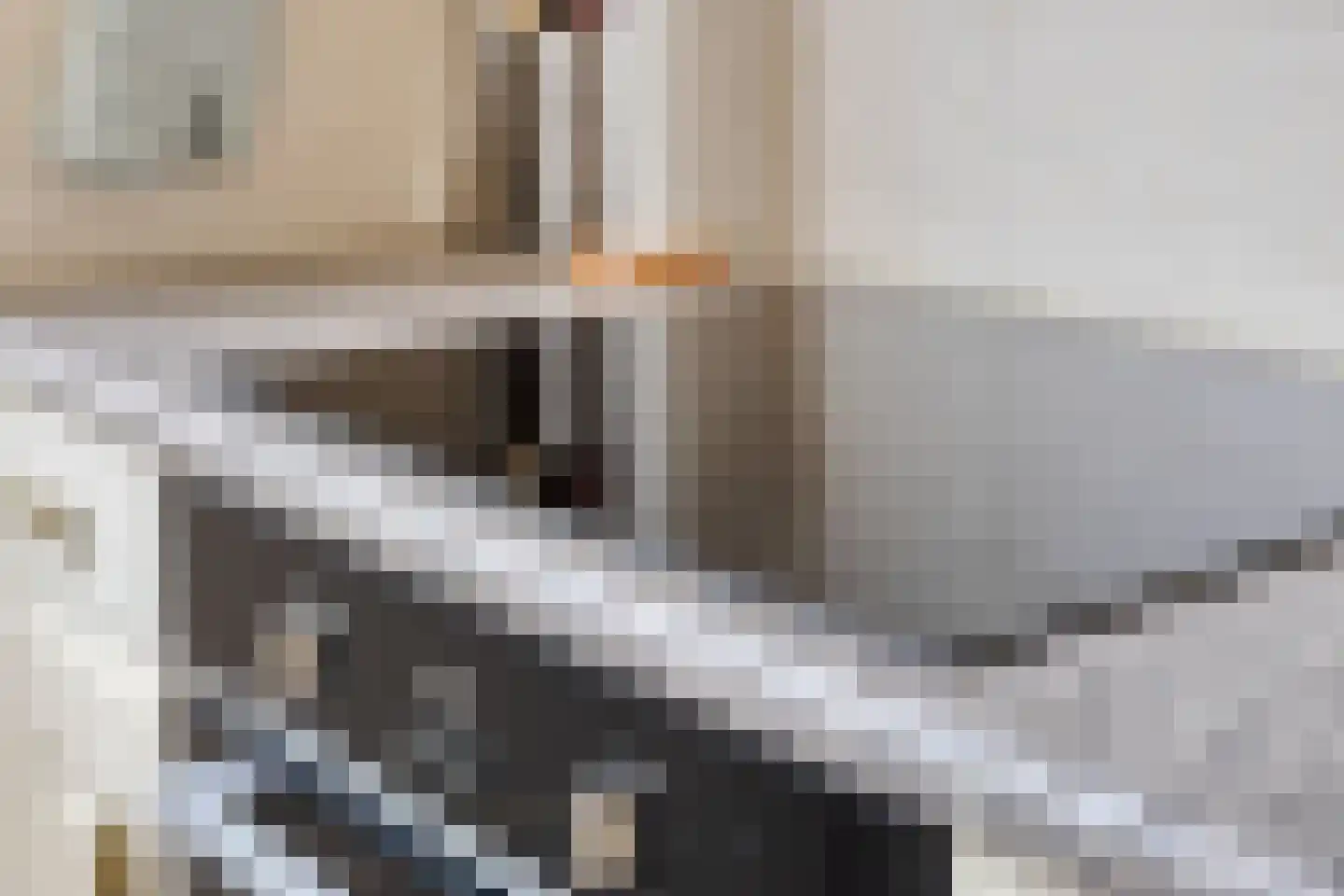 Catsstraat 48 Goor thumbnail 14