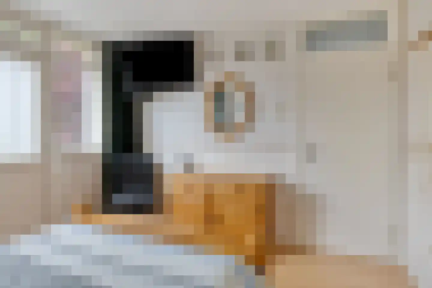 Catsstraat 48 Goor thumbnail 18