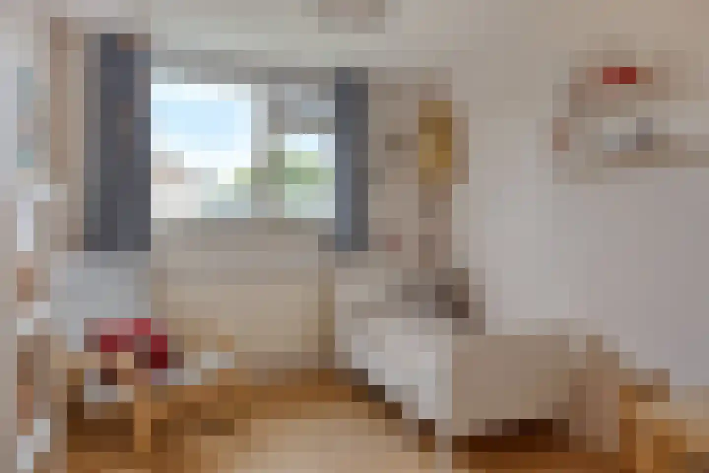 Catsstraat 48 Goor thumbnail 23