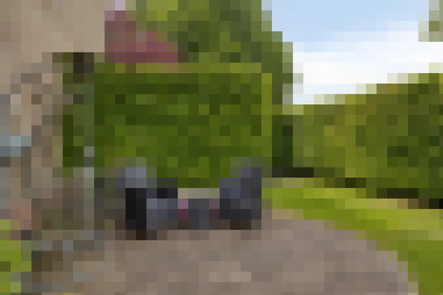 Catsstraat 48 Goor thumbnail 32