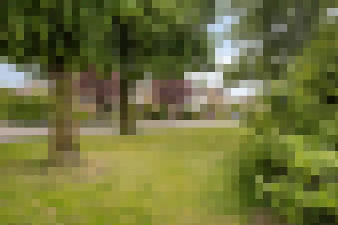 Catsstraat 48 Goor thumbnail 37