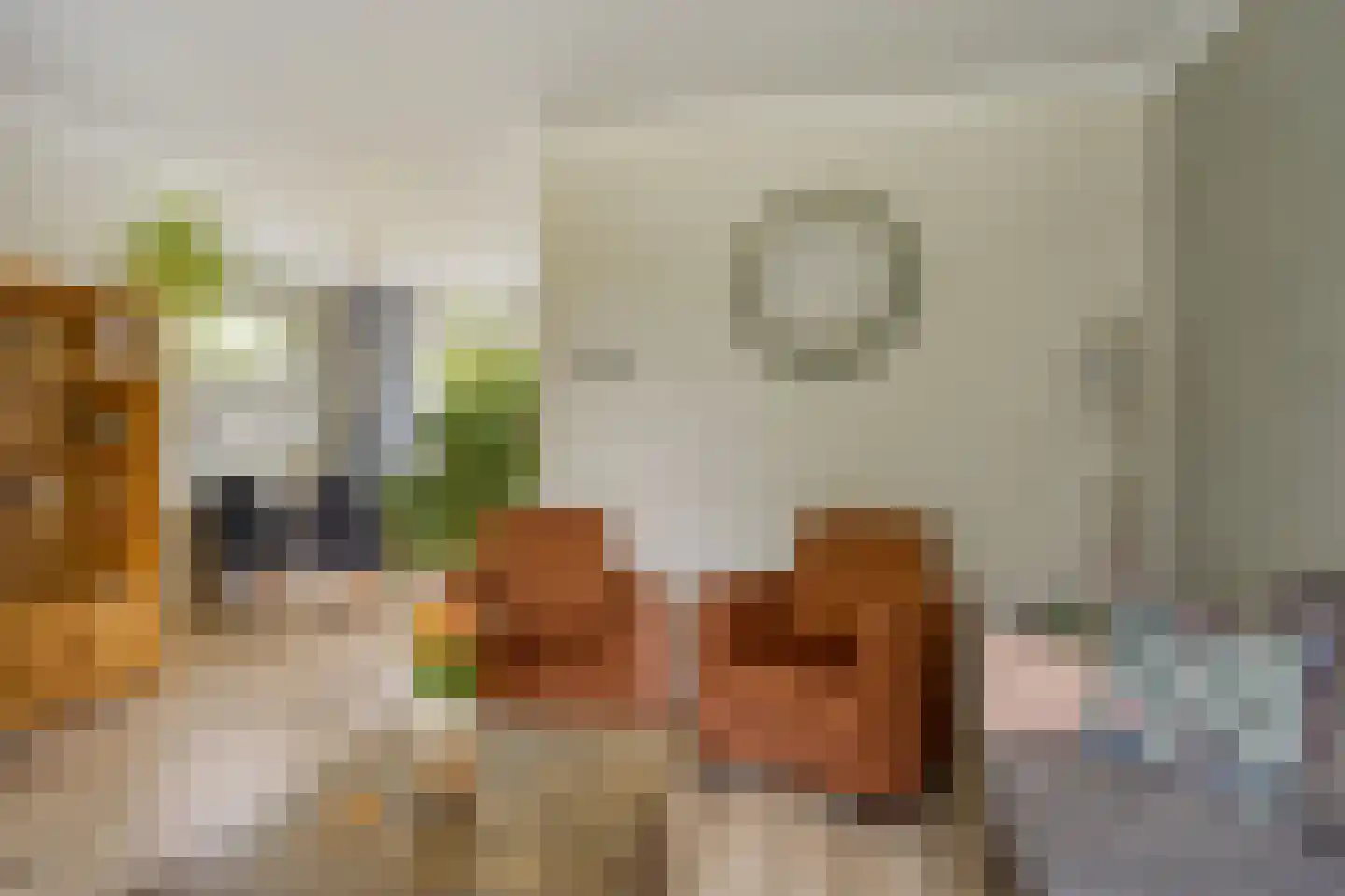 Catsstraat 48 Goor thumbnail 7
