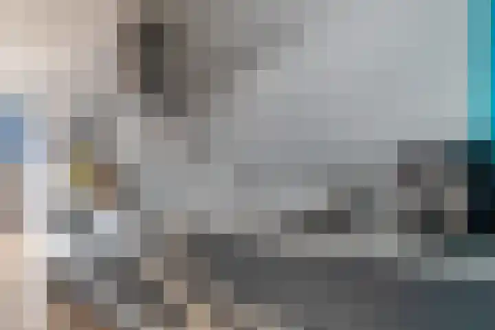 Catsstraat 60 Alkmaar thumbnail 15